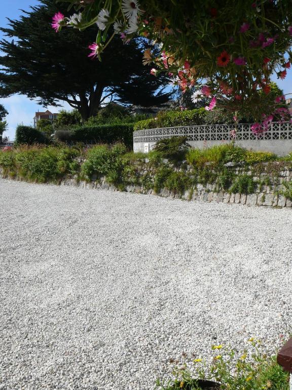 Cormorant House Bed and Breakfast New Quay Esterno foto