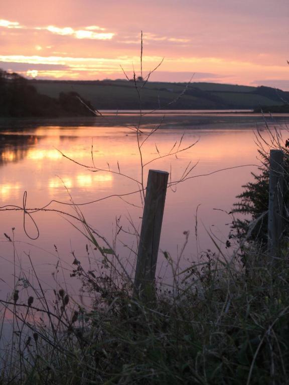 Cormorant House Bed and Breakfast New Quay Esterno foto
